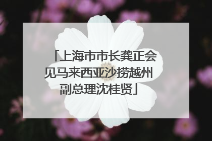上海市市长龚正会见马来西亚沙捞越州副总理沈桂贤