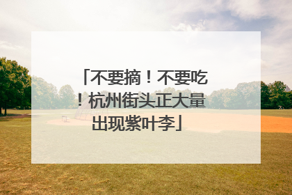 不要摘！不要吃！杭州街头正大量出现紫叶李
