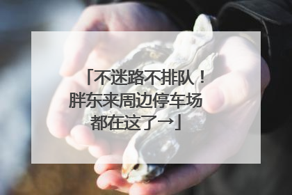 不迷路不排队！胖东来周边停车场都在这了→