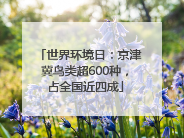 世界环境日：京津冀鸟类超600种，占全国近四成