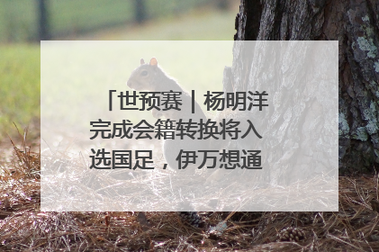 世预赛｜杨明洋完成会籍转换将入选国足，伊万想通了要打双后腰？