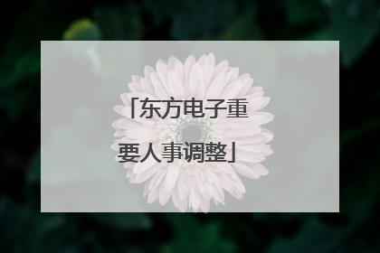 东方电子重要人事调整