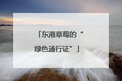 东港草莓的“绿色通行证”