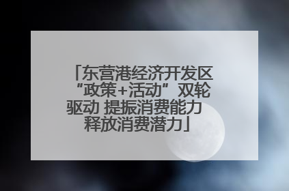 东营港经济开发区“政策+活动”双轮驱动 提振消费能力 释放消费潜力