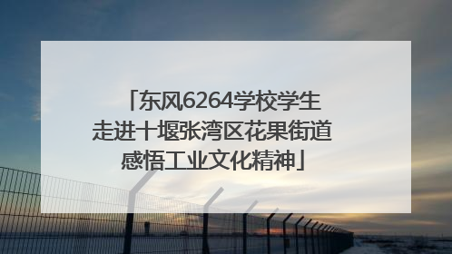 东风6264学校学生走进十堰张湾区花果街道感悟工业文化精神
