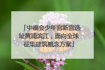 中福会少年宫新宫选址黄浦滨江，面向全球征集建筑概念方案