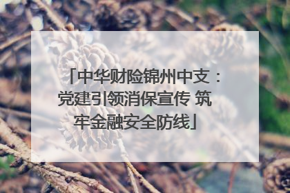 中华财险锦州中支：党建引领消保宣传 筑牢金融安全防线