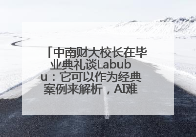 中南财大校长在毕业典礼谈Labubu：它可以作为经典案例来解析，AI难以给出答案