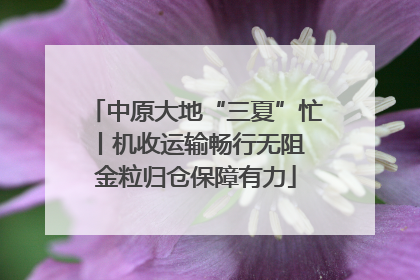 中原大地“三夏”忙丨机收运输畅行无阻 金粒归仓保障有力