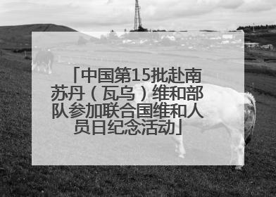 中国第15批赴南苏丹（瓦乌）维和部队参加联合国维和人员日纪念活动
