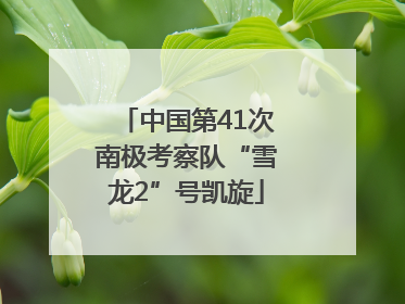 中国第41次南极考察队“雪龙2”号凯旋