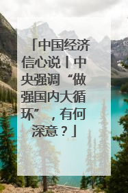 中国经济信心说丨中央强调“做强国内大循环”，有何深意？