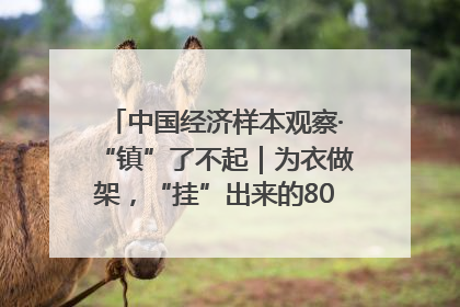 中国经济样本观察·“镇”了不起｜为衣做架，“挂”出来的80亿元“衣架产业”