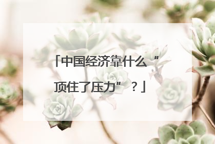 中国经济靠什么“顶住了压力”？