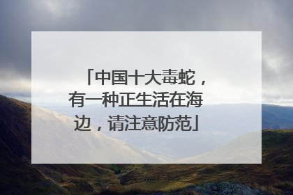 中国十大毒蛇，有一种正生活在海边，请注意防范