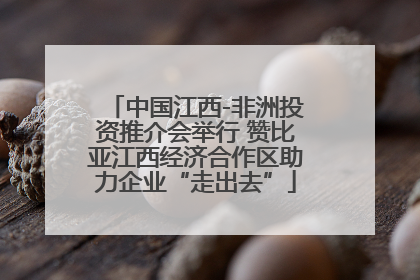 中国江西-非洲投资推介会举行 赞比亚江西经济合作区助力企业“走出去”