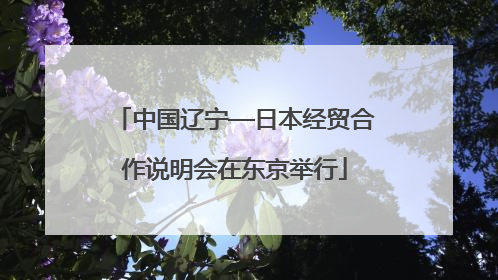 中国辽宁—日本经贸合作说明会在东京举行