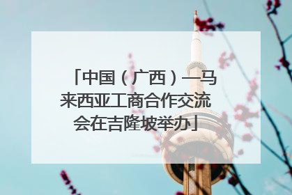 中国（广西）—马来西亚工商合作交流会在吉隆坡举办