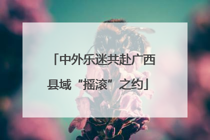中外乐迷共赴广西县域“摇滚”之约