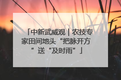 中新武威观｜农技专家田间地头“把脉开方”送“及时雨”