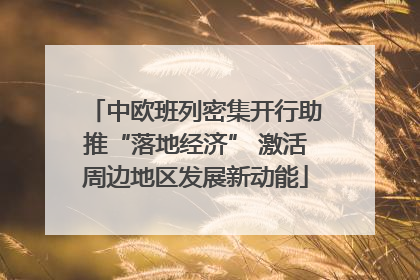 中欧班列密集开行助推“落地经济” 激活周边地区发展新动能