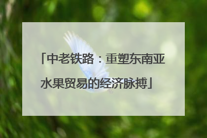 中老铁路：重塑东南亚水果贸易的经济脉搏