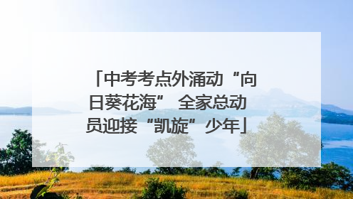 中考考点外涌动“向日葵花海” 全家总动员迎接“凯旋”少年