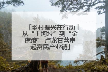 乡村振兴在行动丨从“土坷垃”到“金疙瘩” 卢龙甘薯串起富民产业链