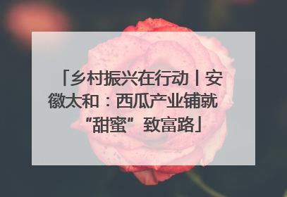 乡村振兴在行动丨安徽太和：西瓜产业铺就“甜蜜”致富路