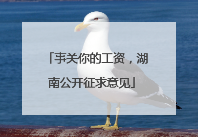 事关你的工资，湖南公开征求意见