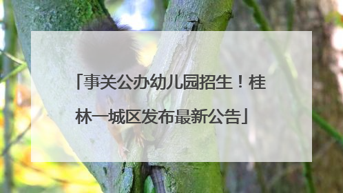 事关公办幼儿园招生！桂林一城区发布最新公告