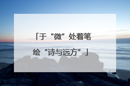 于“微”处着笔 绘“诗与远方”