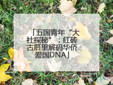 五国青年“大社探秘”：红砖古厝里解码华侨爱国DNA