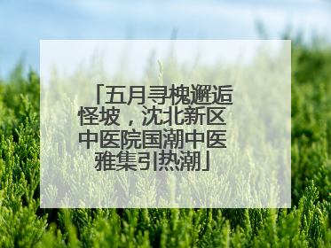 五月寻槐邂逅怪坡，沈北新区中医院国潮中医雅集引热潮