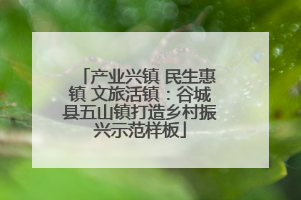 产业兴镇 民生惠镇 文旅活镇：谷城县五山镇打造乡村振兴示范样板