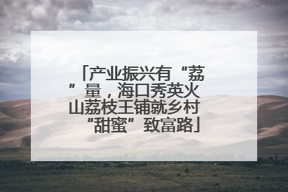 产业振兴有“荔”量，海口秀英火山荔枝王铺就乡村“甜蜜”致富路
