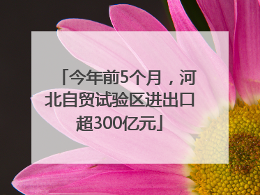 今年前5个月，河北自贸试验区进出口超300亿元