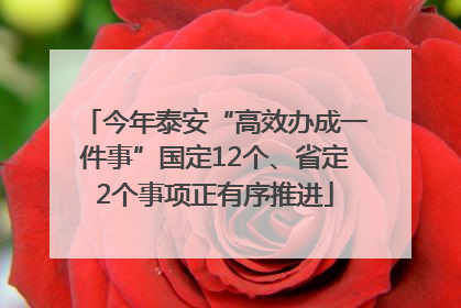 今年泰安“高效办成一件事”国定12个、省定2个事项正有序推进