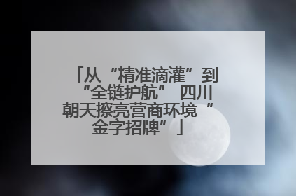 从“精准滴灌”到“全链护航” 四川朝天擦亮营商环境“金字招牌”