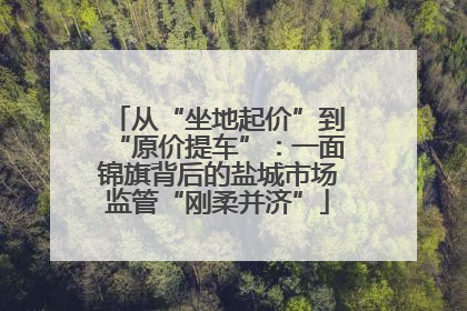 从“坐地起价”到“原价提车”：一面锦旗背后的盐城市场监管“刚柔并济”