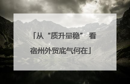 从“质升量稳” 看宿州外贸底气何在