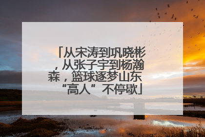 从宋涛到巩晓彬，从张子宇到杨瀚森，篮球逐梦山东“高人”不停歇