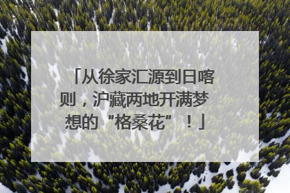 从徐家汇源到日喀则，沪藏两地开满梦想的“格桑花”！