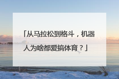 从马拉松到格斗，机器人为啥都爱搞体育？