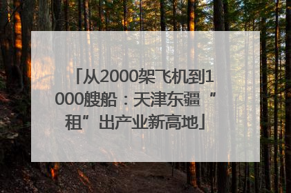 从2000架飞机到1000艘船：天津东疆“租”出产业新高地