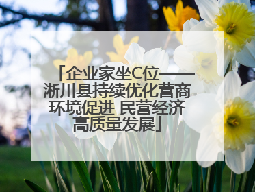 企业家坐C位——淅川县持续优化营商环境促进 民营经济高质量发展