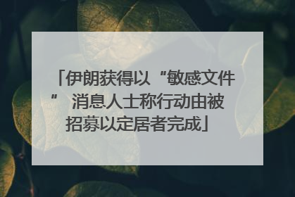 伊朗获得以“敏感文件” 消息人士称行动由被招募以定居者完成