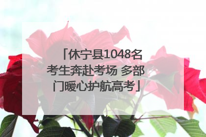 休宁县1048名考生奔赴考场 多部门暖心护航高考
