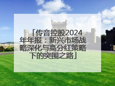 传音控股2024年年报：新兴市场战略深化与高分红策略下的突围之路