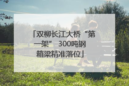 双柳长江大桥“第一架” 300吨钢箱梁精准落位